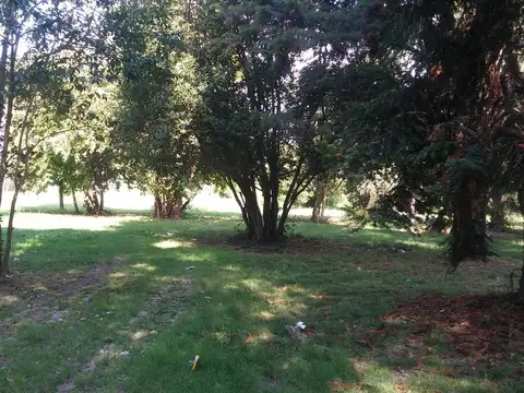 Terreno en Venta de 338,0 m2