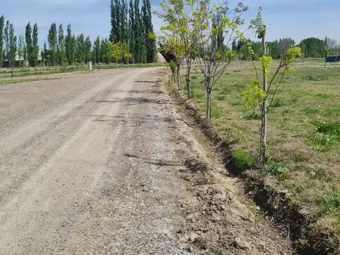 Terreno en Venta en General Roca, USD 57.000