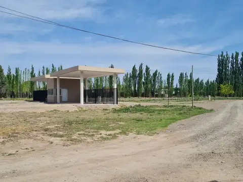 Gobernador Viterbori 1300