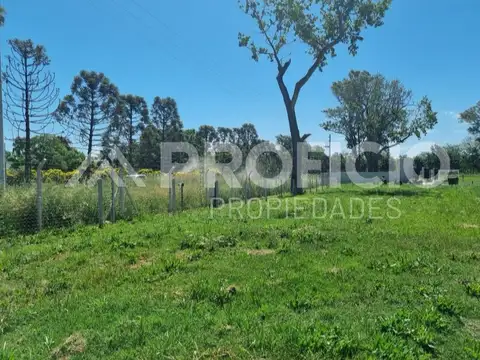 Terreno en San Juan Chico