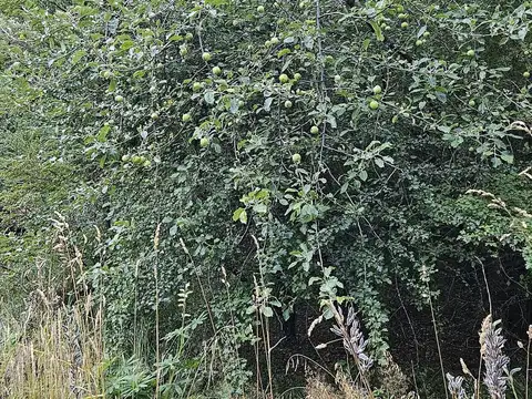 Terreno en Venta de 3708,0 m2