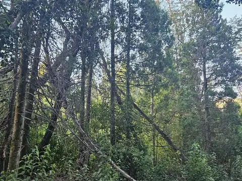 Terreno en Venta en Puerto, USD 175.000