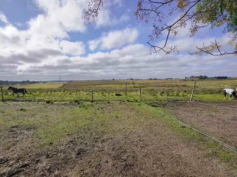 Ruta 8 LA PALMITA 100