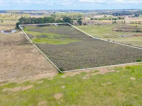 Vendo chacra campo casa Ruta 8 y Ruta 11