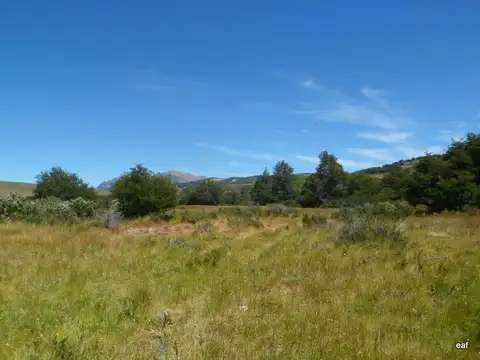 Ea 5400 ha - Pilcaniyeu - Rio Negro