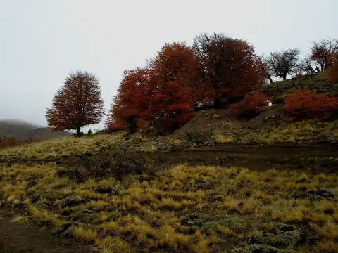 Campo de 5400 ha en Venta - Dina Huapi - Rio Negro