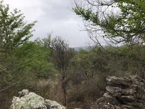 VENTA TERRENO, CASA GRANDE A UNA CUADRA DEL RIO