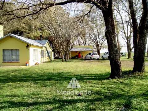 Campo - 235 hectáreas / Mechongué, Gral. Alvarado