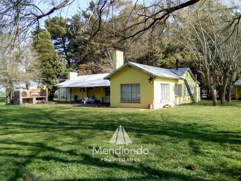 Campo - 235 hectáreas / Mechongué, Gral. Alvarado
