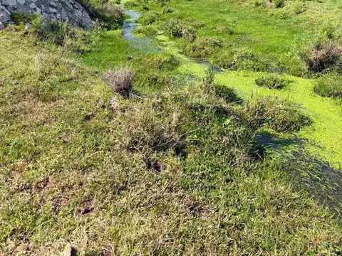 Chacra en venta de 100000m2 ubicado en Pan de Azúcar