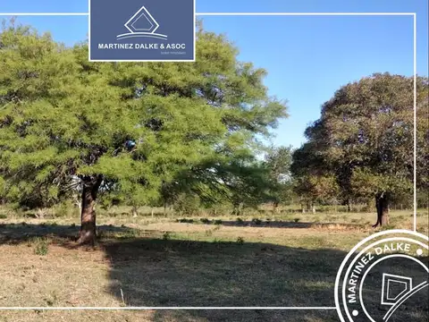 Agua de las Piedras - Campo de 6 Has con costa de Rio