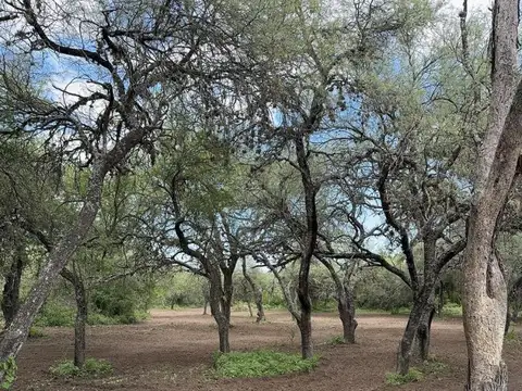 Terreno en Venta de 10000,0 m2