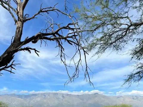 Terrenos a la venta en San Javier