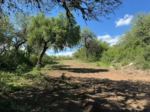 Terreno en Venta de 10000,0 m2