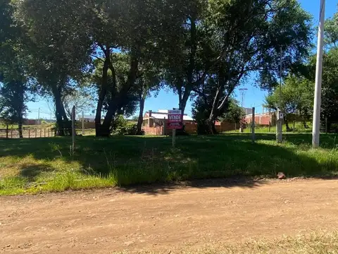 Oro Verde
