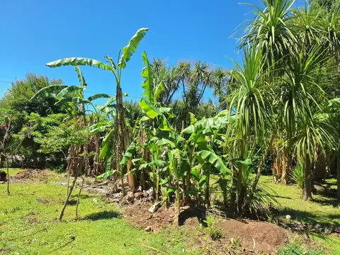 QUINTA EN EXCELENTE TERRENO CON MULTIPLES DESTINOS