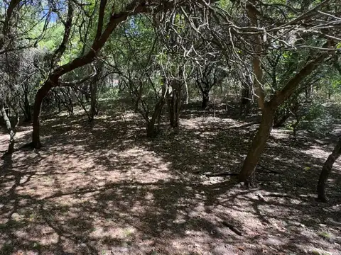 Terreno en Venta de 1000,0 m2