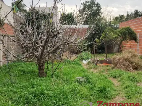 Terreno en Venta 8  mts Frente