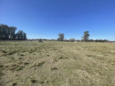 Terreno en Venta de 1500,0 m2