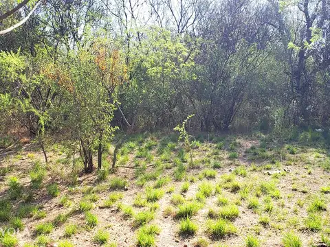 Terreno en Venta en Piedra Blanca Abajo, USD 70.000