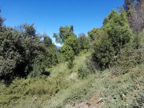 Terreno en Venta de 1200,0 m2