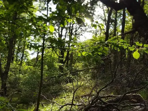 Loteo Terrazas Bella Vista  Opción de Financiación!