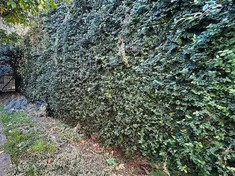 Casa en Venta con 4 cocheras