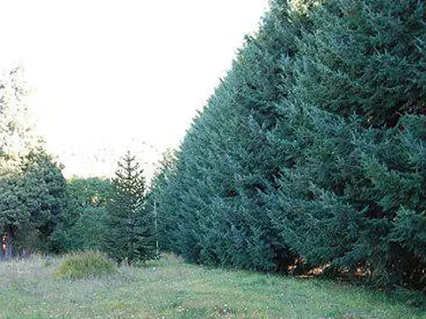 Av. De Los Pioneros al 4400