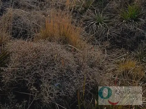 Terreno en Venta de 600,0 m2
