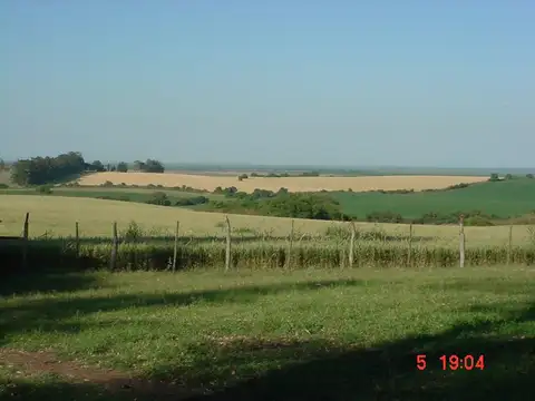 2000 hectareas en zona molino Doll