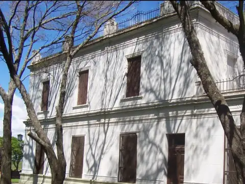 2000 hectareas en zona molino Doll