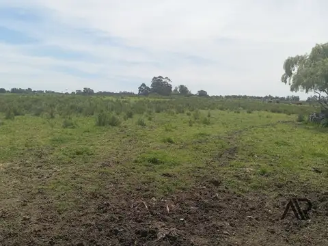 Chacra Rural 5 hectareas Progreso Canelones