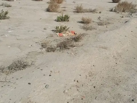 BRANDSEN Y COSTA FLORES