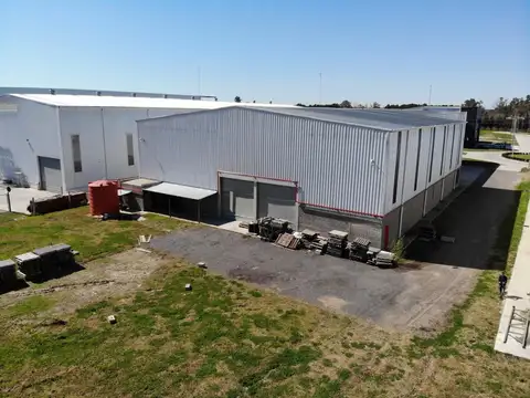 Martin De Gainza 800