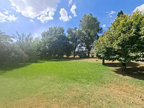 Terreno en Venta 20  mts Frente