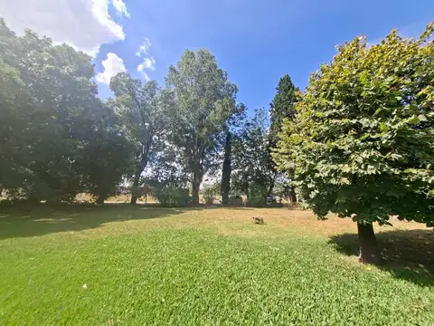 Terreno en Venta 38  mts Fondo