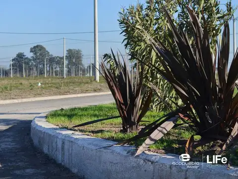 Terreno en Venta de 250,0 m2