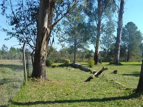 Lotes ideales para proyectos ecosustentables