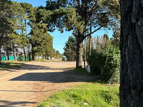 Monaco, pinamar