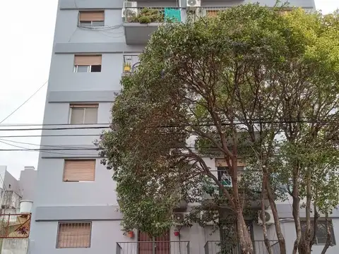 CAMPANA 4500, Piso PB