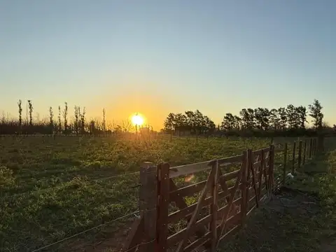 Terreno en venta en Diego Gaynor, Capilla del señor. 820 m2