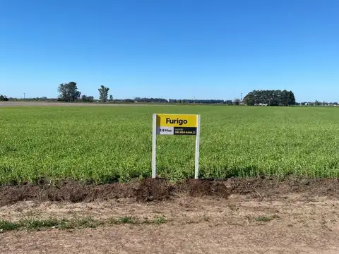 Campo - Venta - Argentina, General Lagos