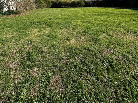 Lote Altos De Hudson 2 Interno