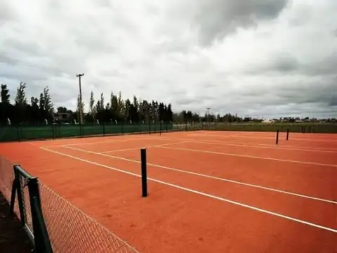 lote central en ficas joven san vicente