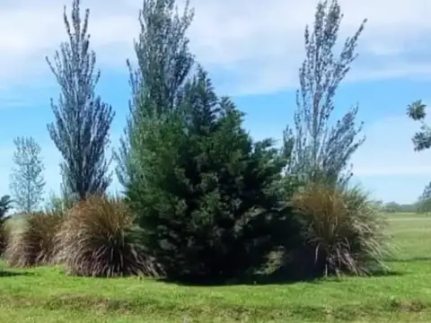 Terreno en Venta de 654,0 m2