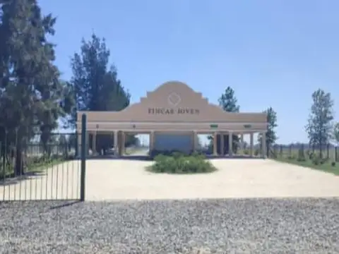 lote central en ficas joven san vicente