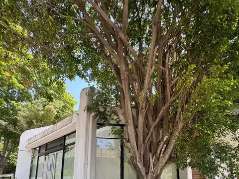 Avenida Bernabé Márquez  al 700