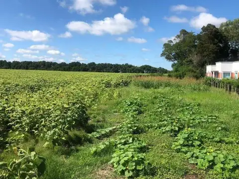 Ruta Provincial 74 - KM 18