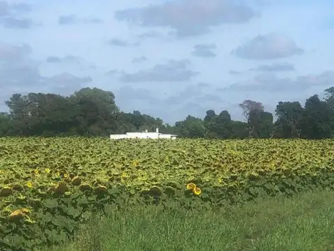 Campo en venta - 32.000 Mts2 - General Juan Madariaga