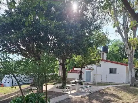 Yerba Buena